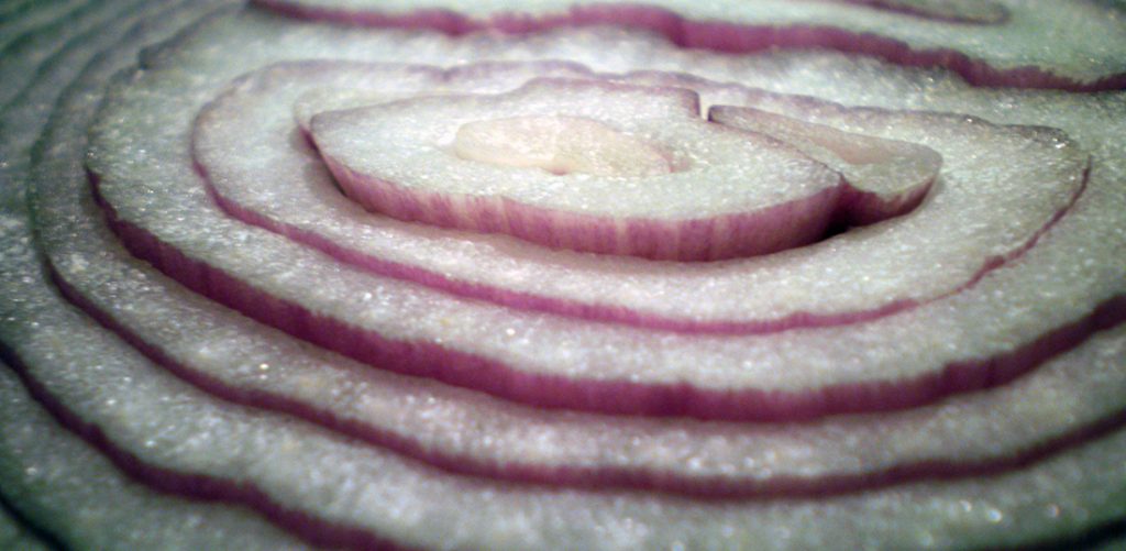 onion layers